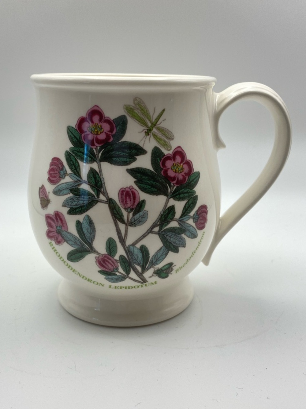Portmeirion Botanic Garden Bristol Mug with Rhododendron Design & Dragonfly